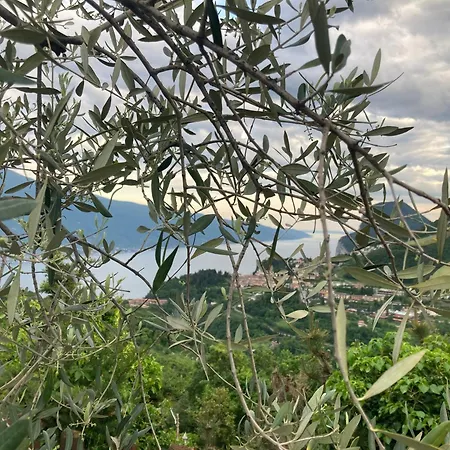 Casa Amici