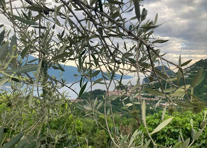 Casa Amici